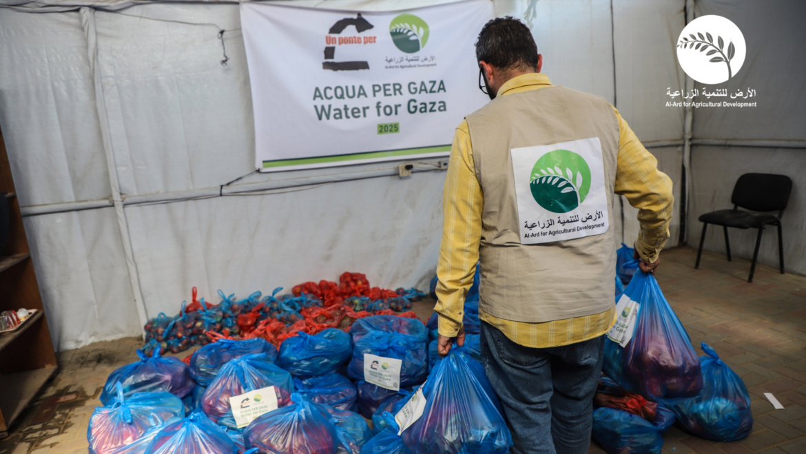 الأرض للتنمية الزراعية توزع 500 طرد خضار طازجة على الأسر النازحة في خان يونس